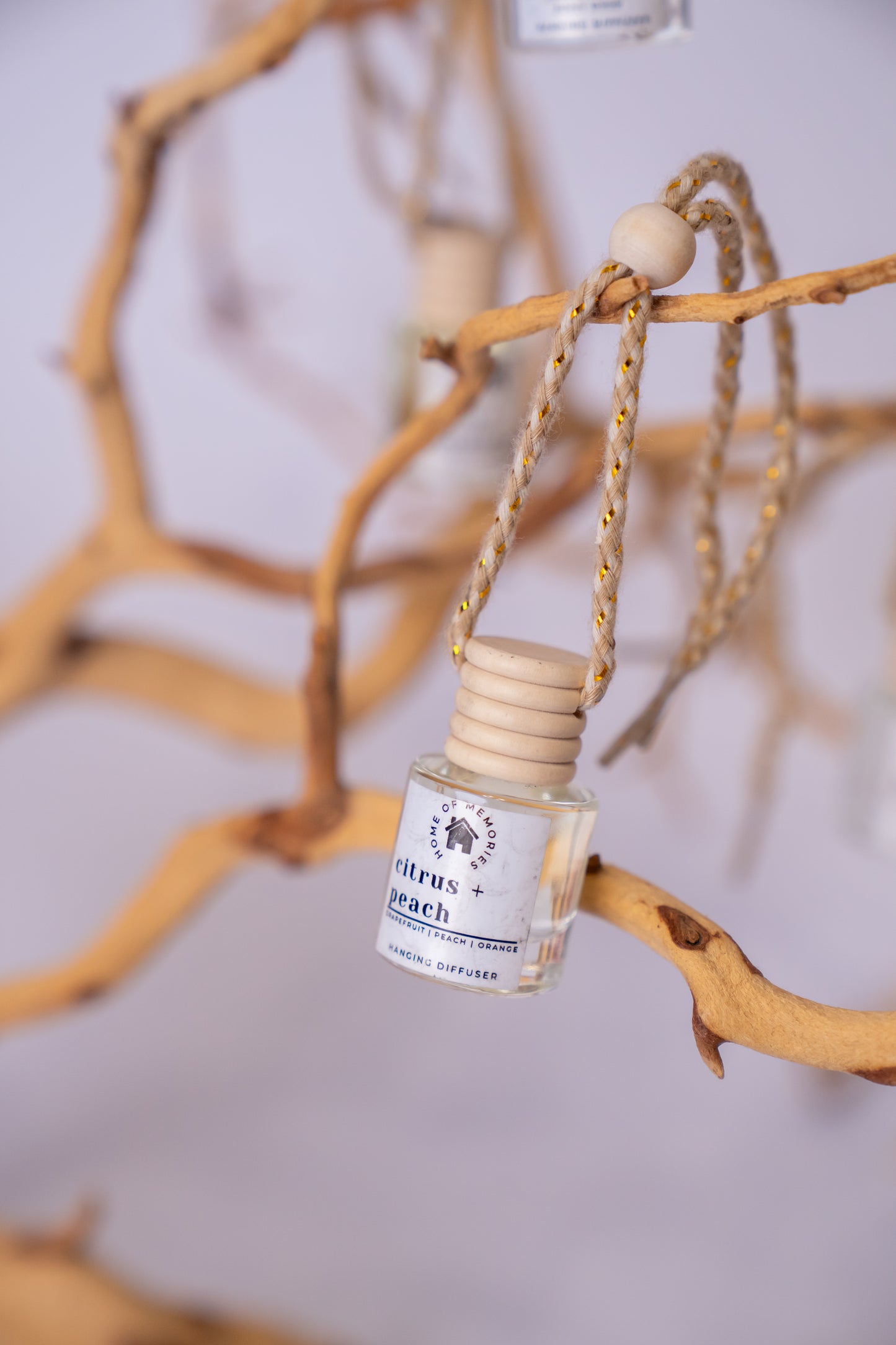 Citrus + Peach Hanging Diffuser