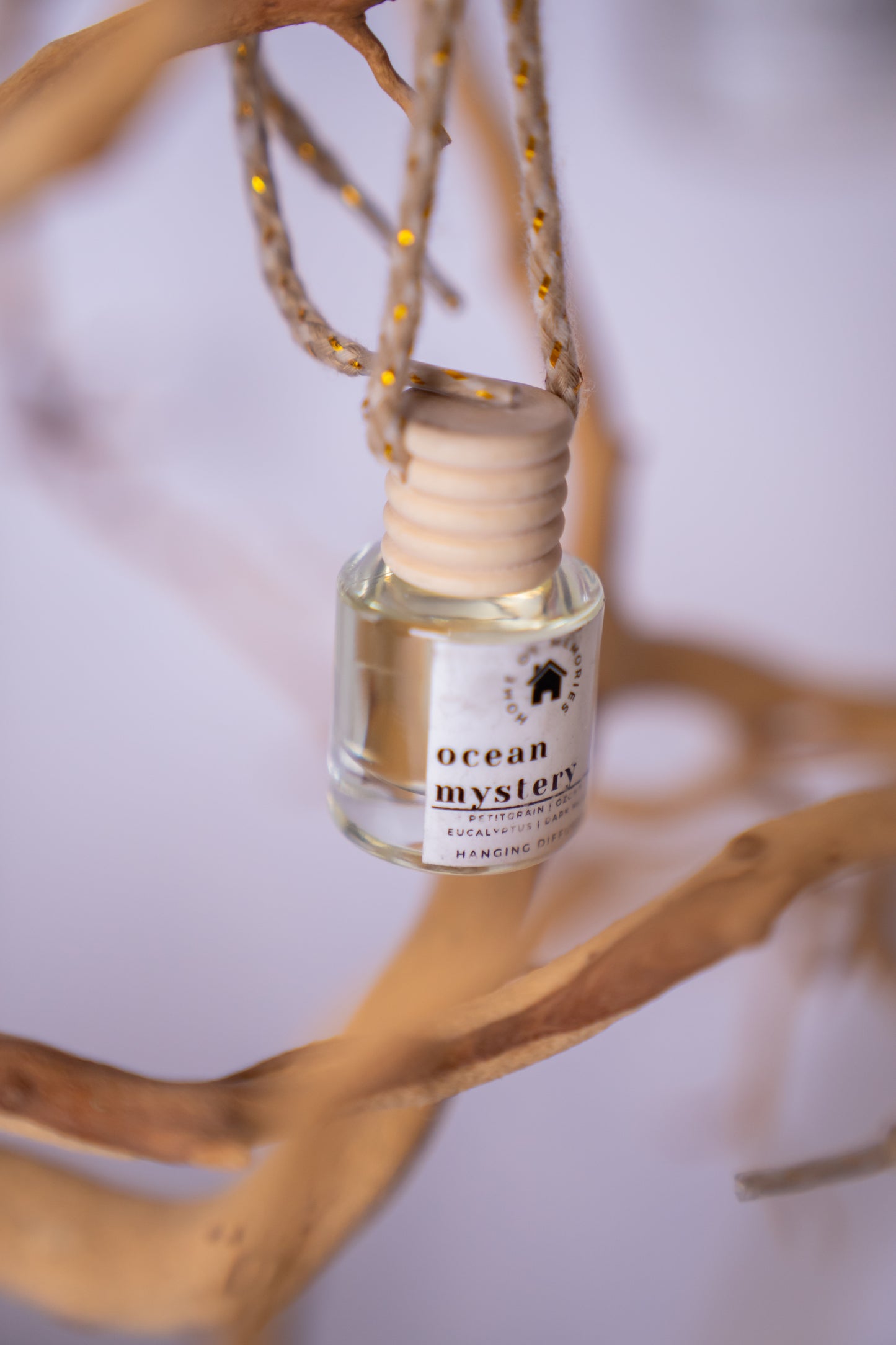 Ocean Mystery Hanging Diffuser