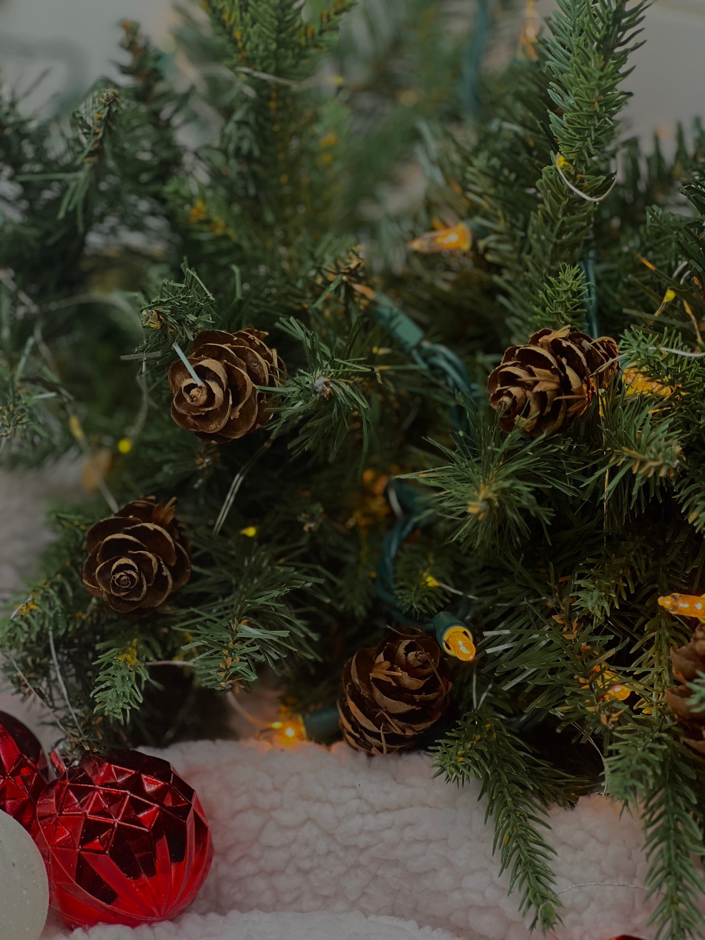 Fraser Fir Candle | 10oz