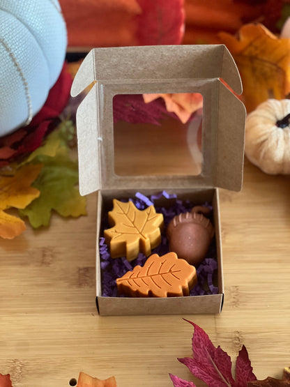 Feels Like Fall Wax Melts | 3 Big Shaped