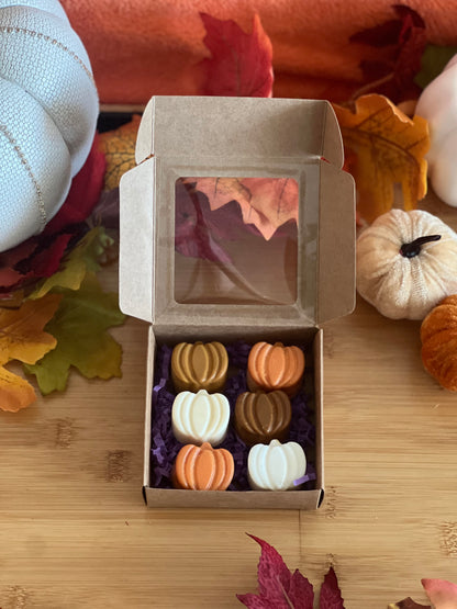 Pumpkin Spice + Everything Nice Wax Melts | 6 Pumpkin Shaped