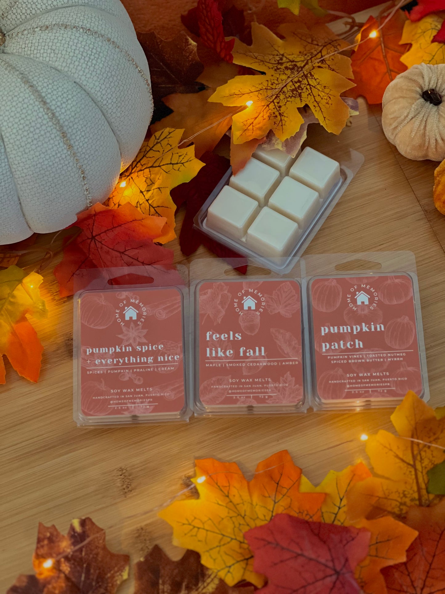 Pumpkin Spice + Everything Nice Wax Melts