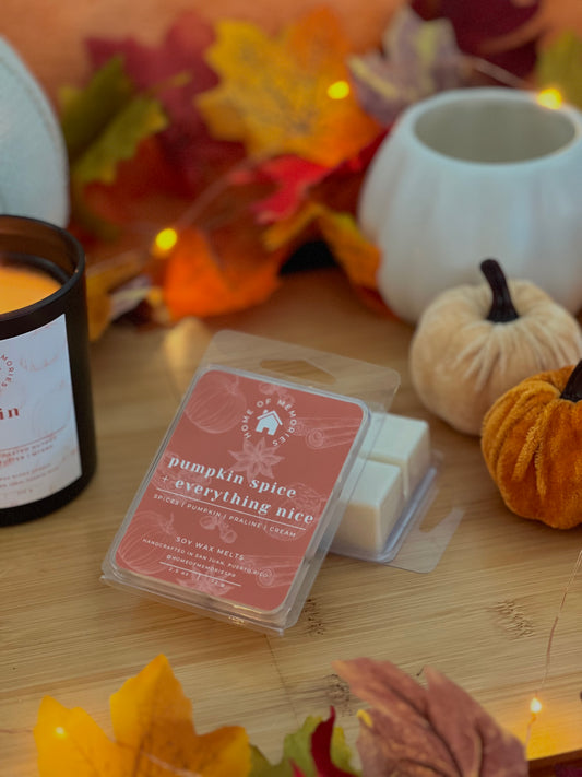 Pumpkin Spice + Everything Nice Wax Melts