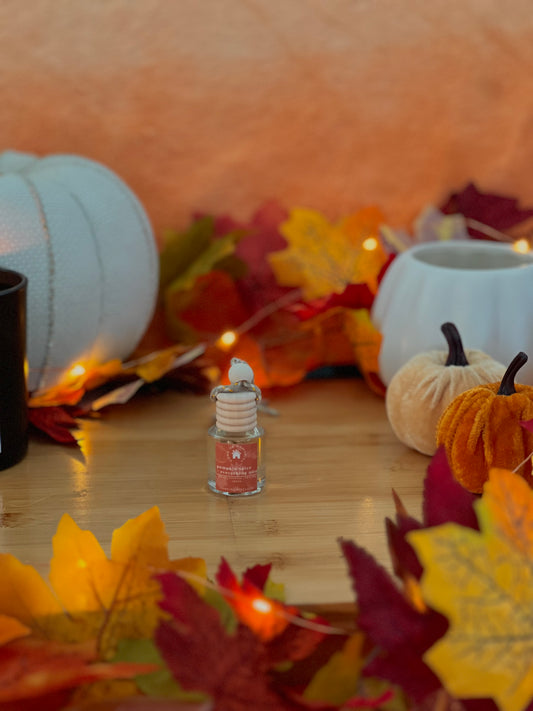 Pumpkin Spice + Everything Nice Hanging Diffuser