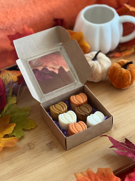 Pumpkin Spice + Everything Nice Wax Melts | 6 Pumpkin Shaped