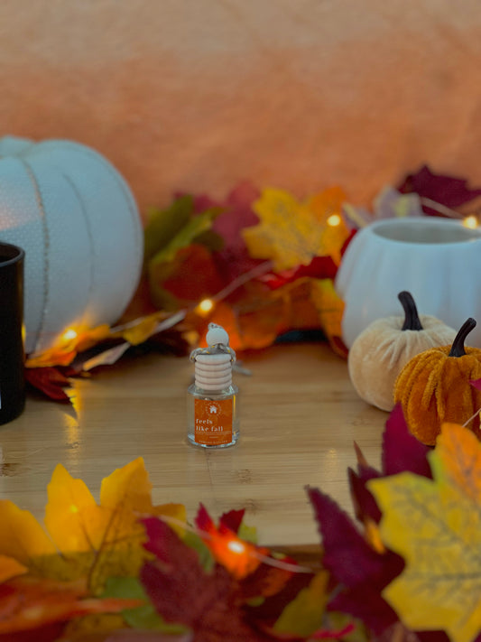 Feels Like Fall Hanging Diffuser