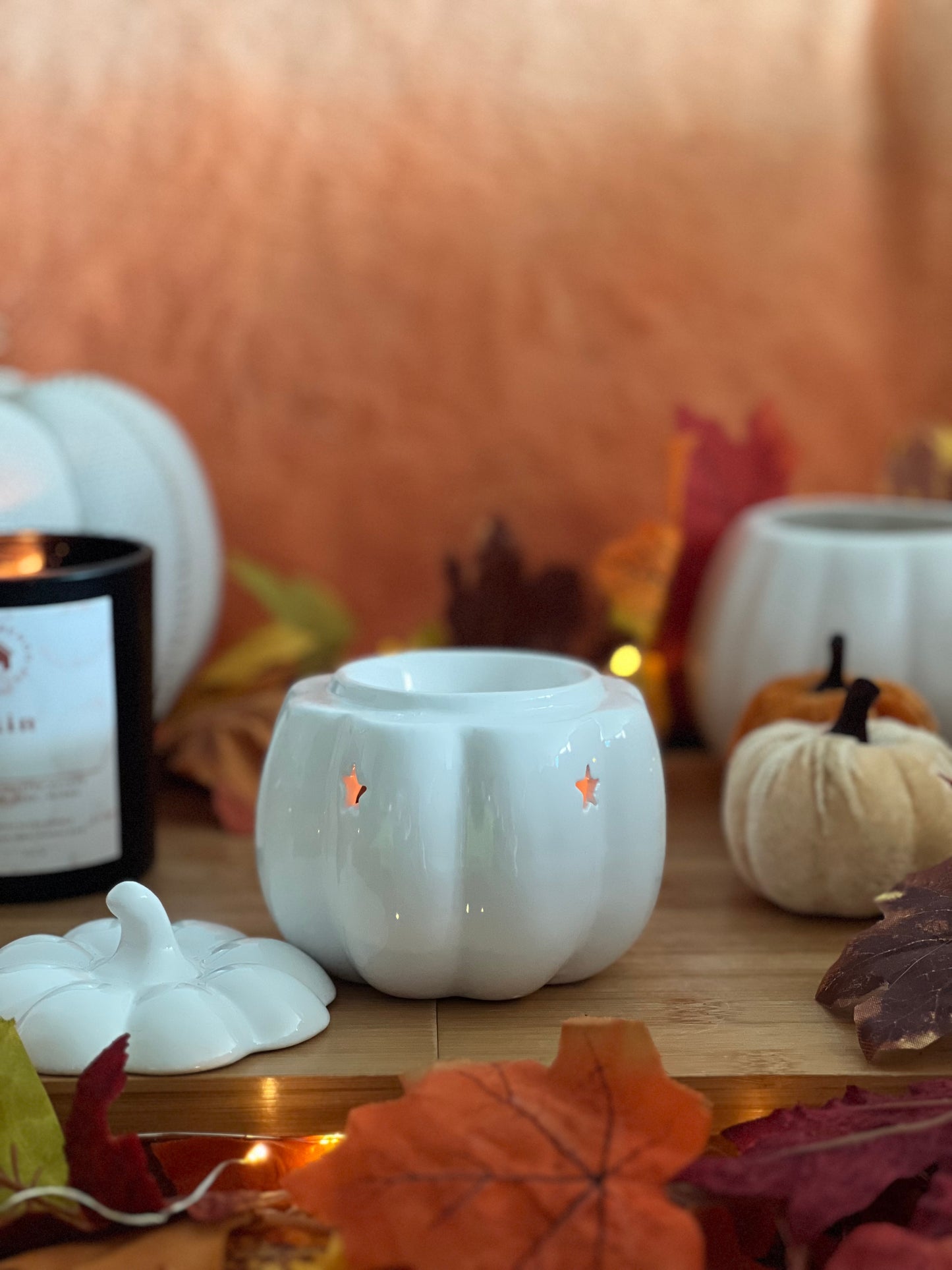 White Pumpkin Wax Melt Warmer
