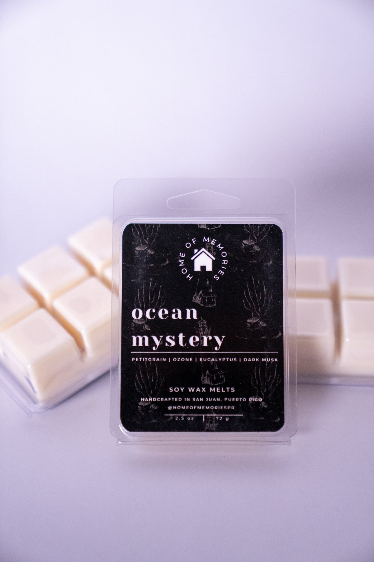 Ocean Mystery Wax Melts