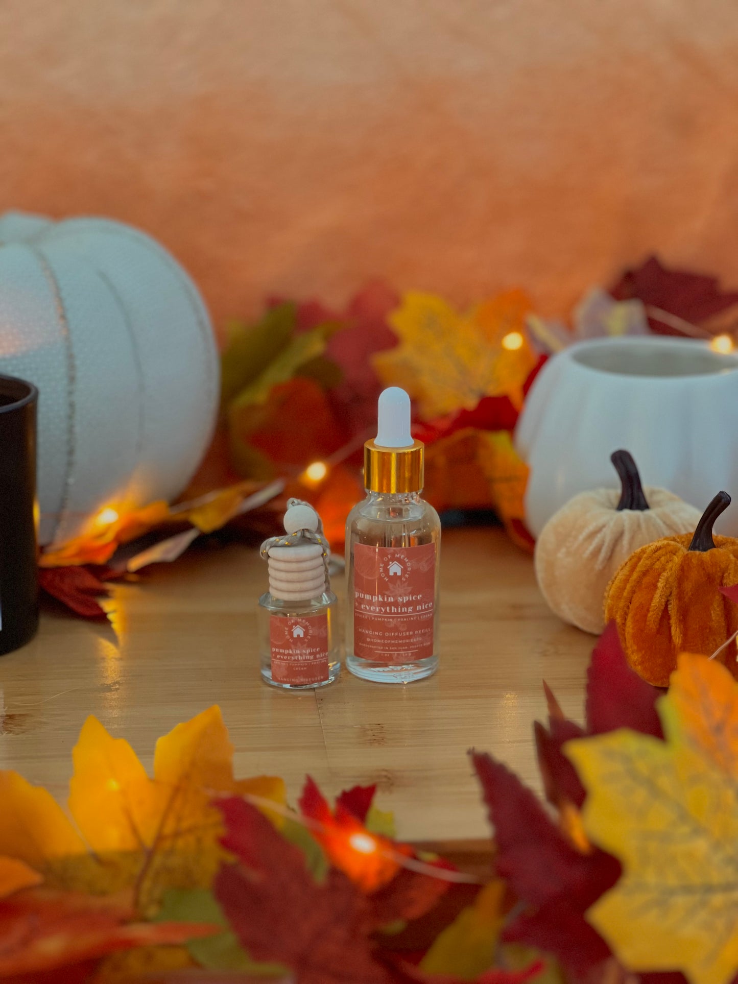 Pumpkin Spice + Everything Nice Hanging Diffuser + Refill Bundle