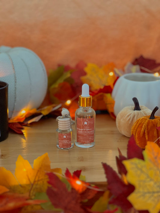 Pumpkin Spice + Everything Nice Hanging Diffuser + Refill Bundle