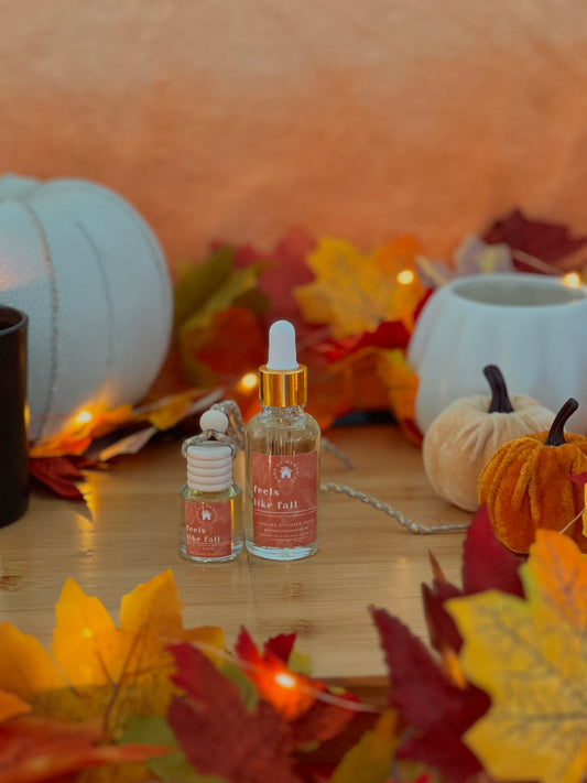 Feels Like Fall Hanging Diffuser + Refill Bundle