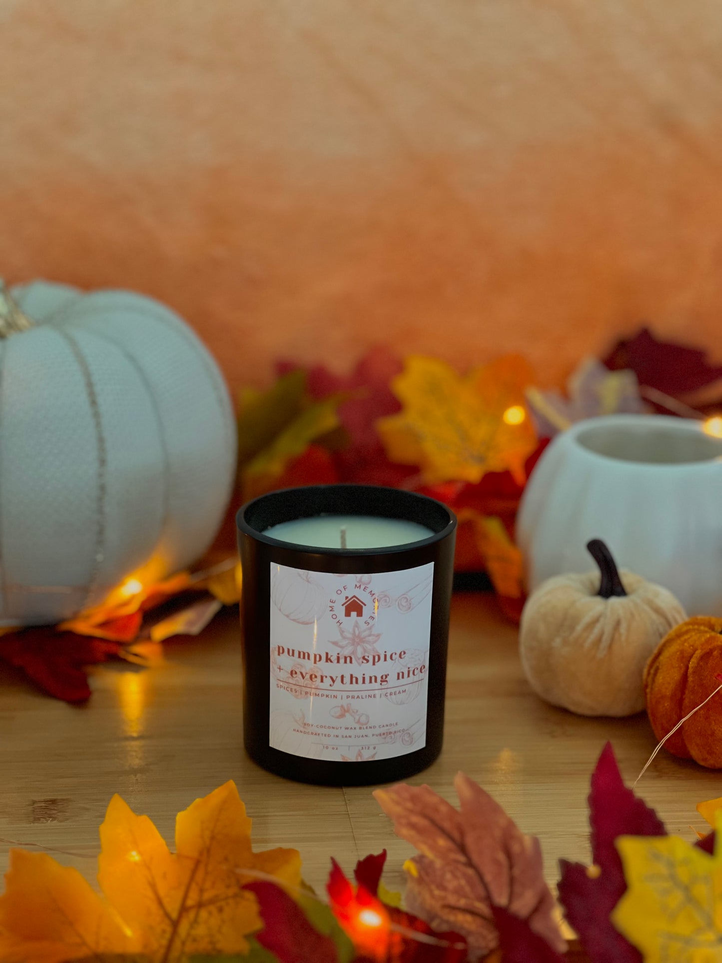 Pumpkin Spice + Everything Nice Candle | 10oz