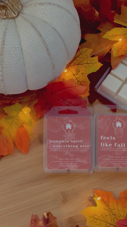 Pumpkin Spice + Everything Nice Wax Melts